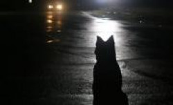 Возмездие за грех.