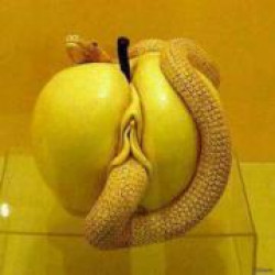 Чтоб все твои желания исполнялись..