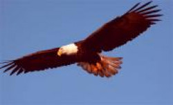 Накопление личной силы Накопление личной силы