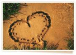 Безвредный приворот