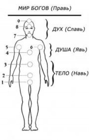 Что такое чакры? Версия древних славян