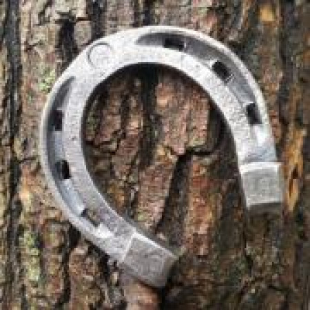 Домашний оберег и талисман – подкова Домашний оберег и талисман – подкова