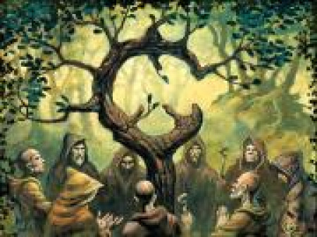 Друиды - мудрецы леса в древние времена Друиды - мудрецы леса в древние времена