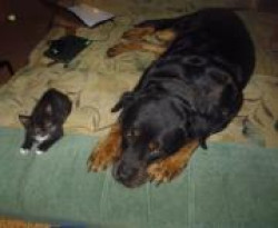 ВЕРНУВШИЕСЯ...