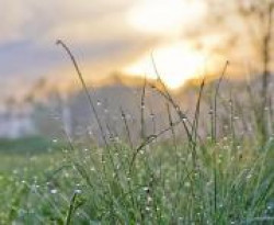 Грудие Росное 20.05