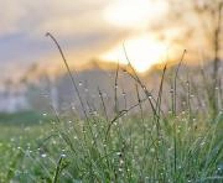 Грудие Росное 20.05