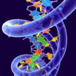 Генная инженерия