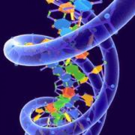 Генная инженерия Генная инженерия