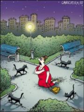 А кот ли во всем виноват?