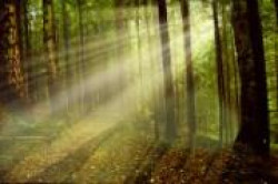 Магия света Магия света