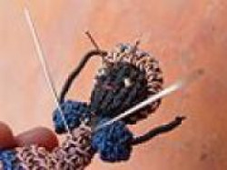 Магия Вуду Магия Вуду