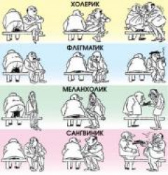 Темперамент Темперамент. Типы характера Темперамент Темперамент. Типы характера