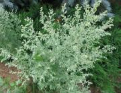 Обереги для дома Обереги для дома