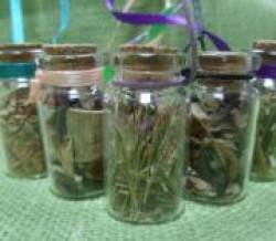 Обереги из растительного мира