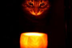 Приворот любимого на свечах Приворот любимого на свечах