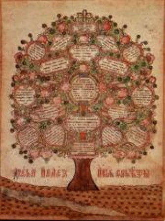 Родовая магия Родовая магия