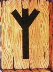 Руна Альгиз Руна Альгиз