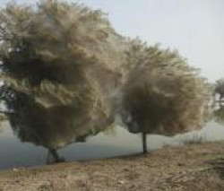 Психологические иллюзии Психологические иллюзии