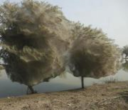 Психологические иллюзии