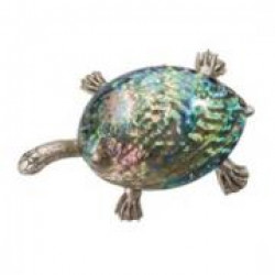 Талисман черепаха