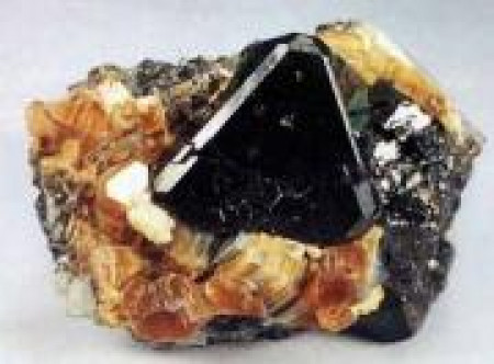 Талисман Скорпиона