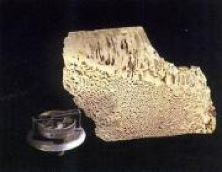 Талисман весов