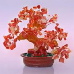 Талисманы Фэн-шуй. Дерево счастья Талисманы Фэн-шуй. Дерево счастья