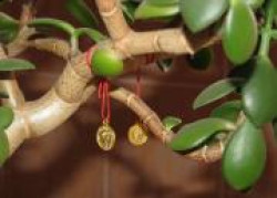 Как правильно просить Вселенную о богатстве?