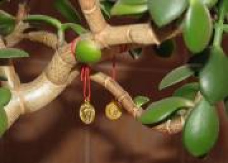 Как правильно просить Вселенную о богатстве?