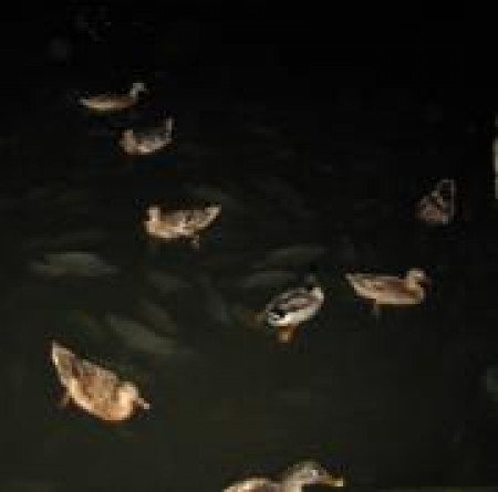 Влияние приворота