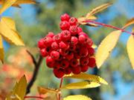 Защита местности от тёмного колдовства и негативного воздействия Защита местности от тёмного колдовства и негативного воздействия