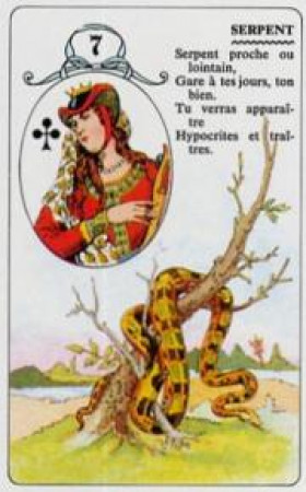 Значения карт Ленорман. 7.ЗМЕЯ