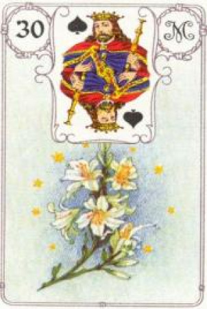 Значения карт Ленорман 30.ЛИЛИИ