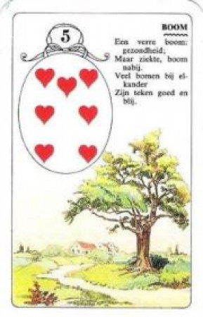 Значения карт Ленорман 5.Дерево