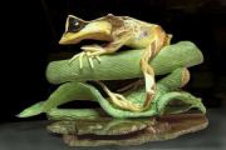 Знаки талисманы